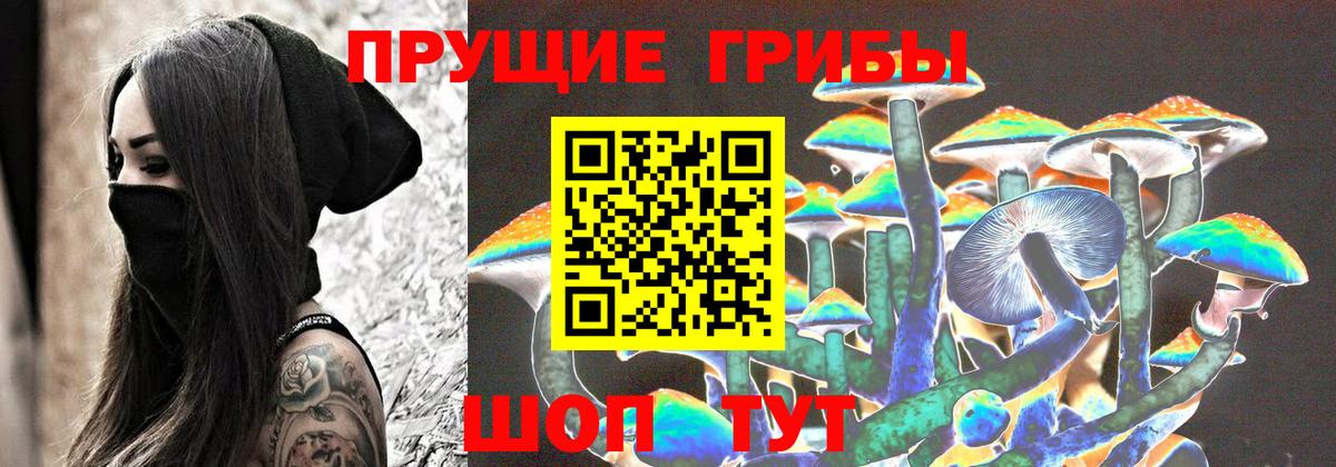 Красноуфимск  Псилоцибиновые грибы ЛСД  Вход с VPN  Псилоцибиновые грибы Psilocybe 